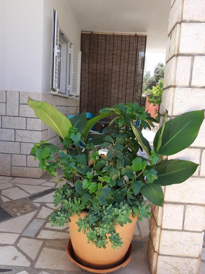 Apartments Ukic Rogoznica  Ngoại thất bức ảnh